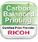 Ricoh certified provider